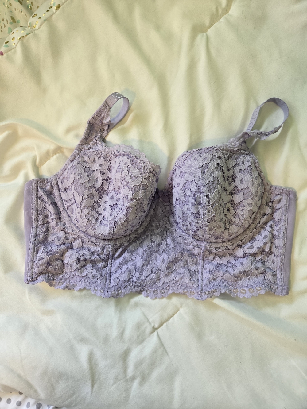 Victoria's Secret Lavender Lace Longline Bra 34DDD